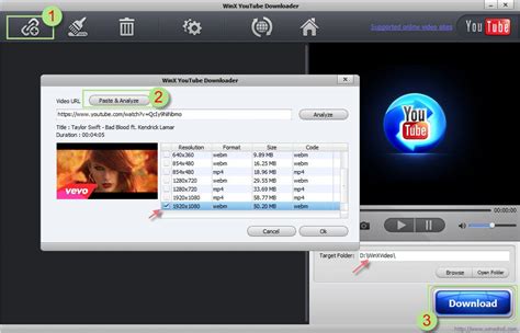 video downloader